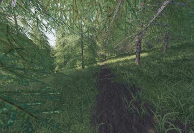 Willamina Forest v1.1.0.0