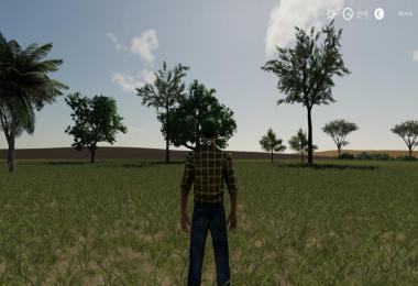 31 TREES PACK v1.1