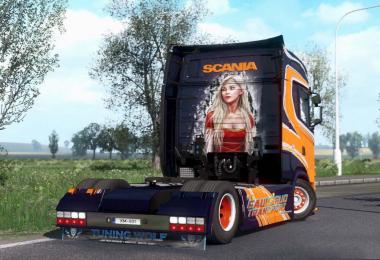 Scania S Gauksrud Transport Skin v1.0