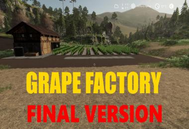 Grape Production Final