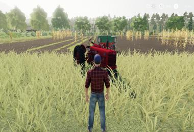 Farmall 300 WIP v1.0.0.0