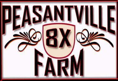 FS19 Peasantville 2 8X Production v1.6