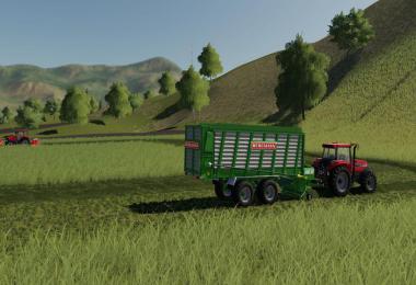 Bergmann Carex 38S v1.0.0.0