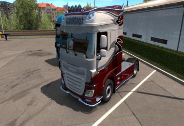 DAF XF Euro 6 Weetjens skin v1.0