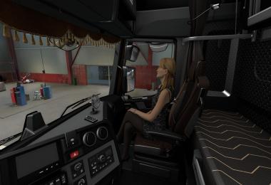 Dark interior for Renault Range T v1.0