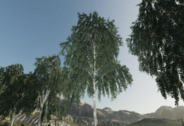 DARK TREES & BUSH TEXTURES v1.0