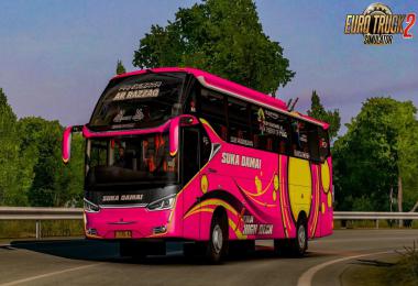 Bus Legacy SR 2 XHD Prime v1.0 by Muhammad Husni 1.37.x