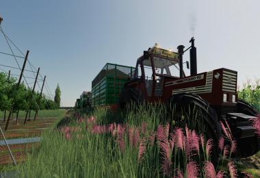 BIG RICE MAP v1.0.0.0