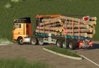 Fliegl Timber-Runner Z-Crane Pack v1.0.0.0