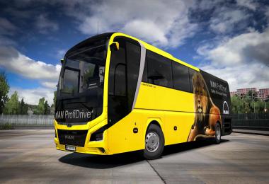 Man Lion's Coach 2017 Optiview 1.38