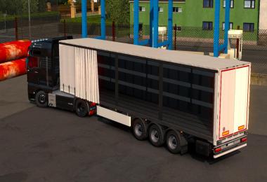 Ownable Company Trailers for TruckersMP v1.0