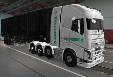 SKIN VOLVO FH16 2012 8X4 EVERGREEN WHITE 1.39