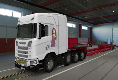 SKIN SCANIA S 2016 8X4 DULCE MARIA 1.39