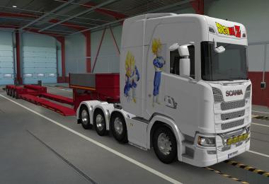 SKIN SCANIA S 2016 8X4 VEGETA WHITE 1.39