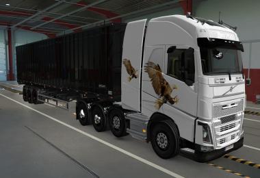 SKIN VOLVO FH16 2012 8X4 AGUIA 1.39