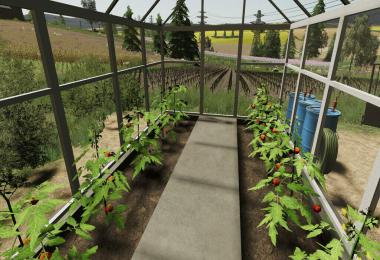 Pack Of Polish Greenhouses With Tomatoes v1.1.0.0