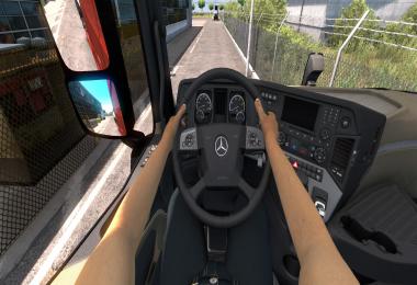 Skins Driver Hands without Tattoo two options 1.39