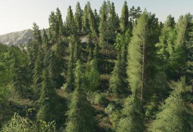 Forest And Sawmill Sounds (Prefab) v1.0.0.0