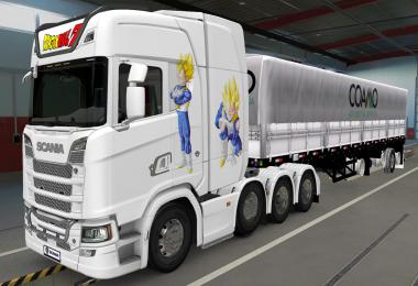 SKIN SCANIA S 2016 8X4 VEGETA WHITE 1.40