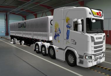 SKIN SCANIA S 2016 8X4 VEGETA WHITE 1.40