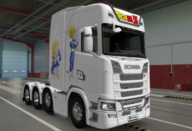 SKIN SCANIA S 2016 8X4 VEGETA WHITE 1.40