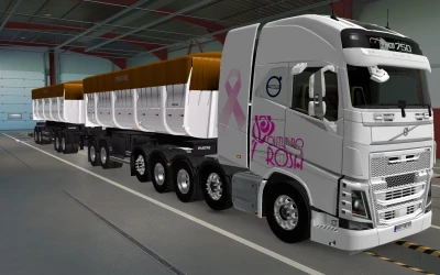 SKIN VOLVO FH16 2012 8X4 OUTUBRO ROSA WHITE 1.42