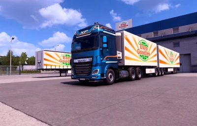 DAF Trucks Brazilian Style v1.8