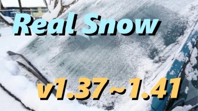 Real Snow v2.2