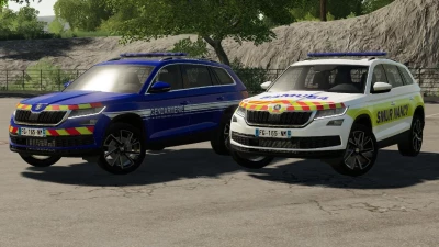 Skoda Kodiaq v1.0.0.0