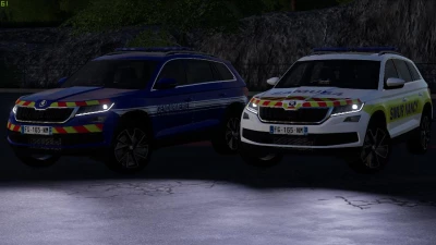 Skoda Kodiaq v1.0.0.0