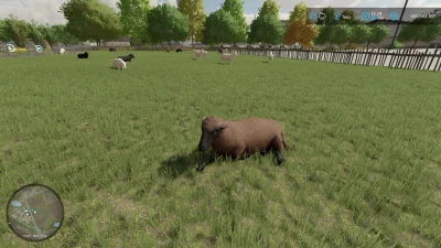 SheepBarnXXL v1.0.0.0