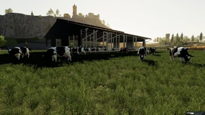 Cow Husbandry v1.0.0.0