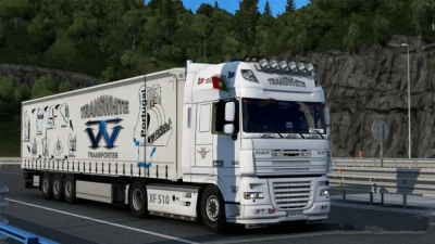 DAF XF 105 TransWhite skin v1.0