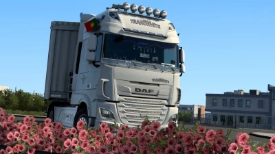 DAF XF Euro 6 TransWhite skin v1.0