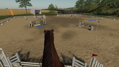 First Person Horse Riding Camera v1.0.0.0