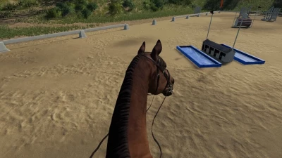 First Person Horse Riding Camera v1.0.0.0