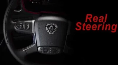 Real Steering v1.0