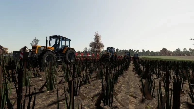 RENAULT PACK TX v1.0.0.0