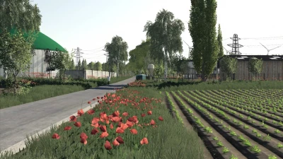 Poppy Plains v1.0.0.0