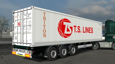 Arnook's SCS Containers Skin Project v9.0