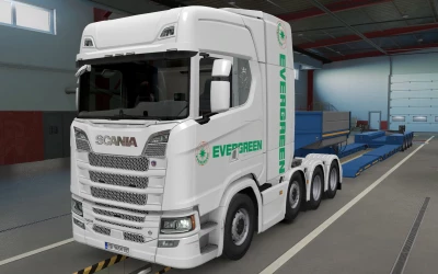 SKIN SCANIA S 2016 8X4 EVERGREEN WHITE 1.41