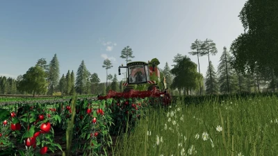 Old Kiwi Farm v1.1.1.0