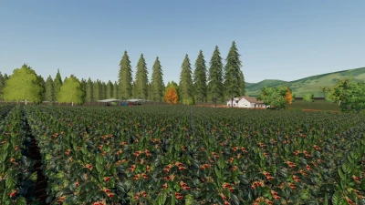 Santo Anjo Farm v3.0.0.0