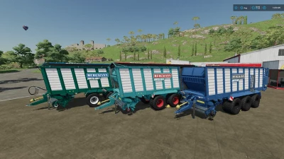 Bergmann Shuttle 490 S v1.0.0.0