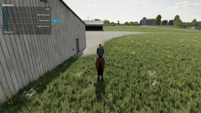 First Person Horse Riding Camera v1.0.0.0