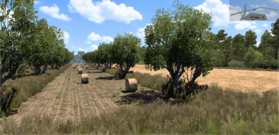 Addon Western Poland for the map Fikcyjna Polska 1.45