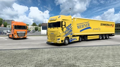 Combo Skin Mehner Transporte v1.0