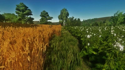 FS22 Shadery by Krzychu v1.0.0.0