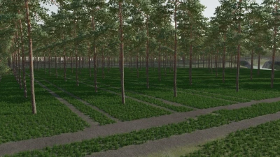 FS22 The Plantation v1.0.0.0