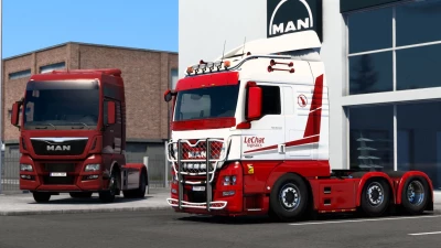 LeChat Logistics skin for MAN Euro 6 v1.0